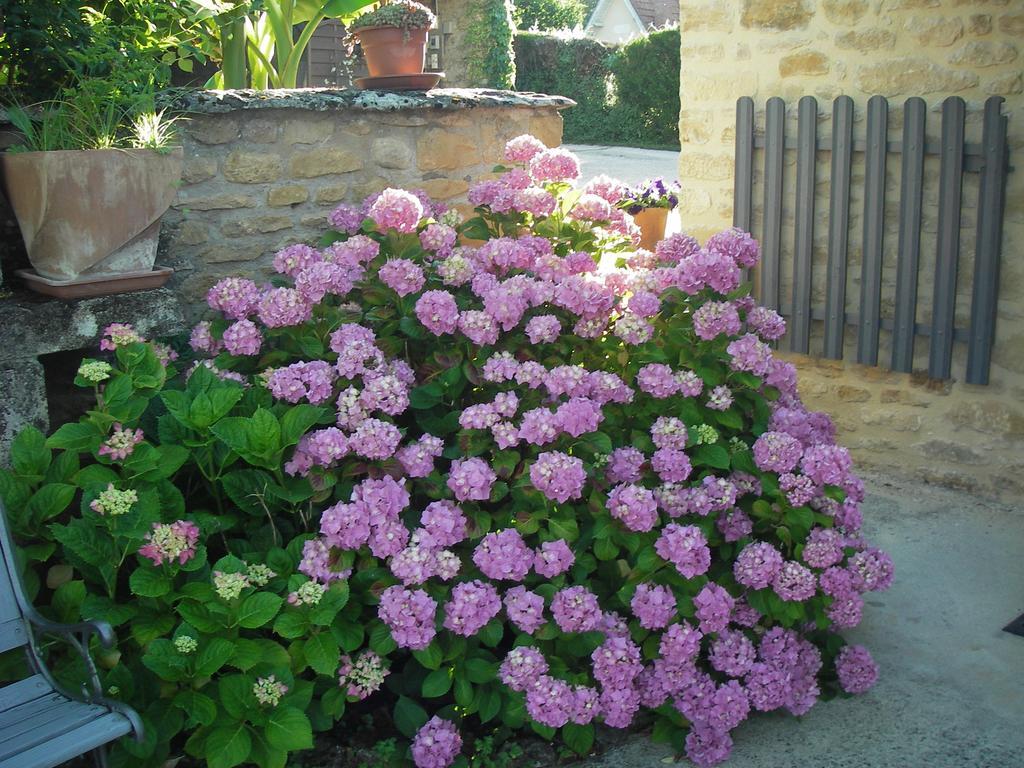 Gasthaus Les 4 Saisons Sarlat Exterior foto